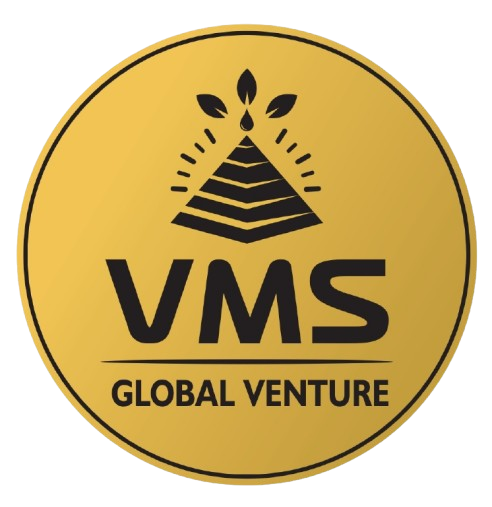 vms global venture logo concept v17 page 0001 removebg preview (1)